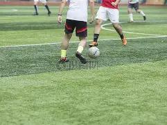 重磅,海牛战队功,勋外援华丽,开云体育,开云体育官网,开云体育app,开云体育平台,KAIYUN,SPORTS,kaiyun登录入口