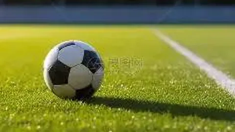 开云体育官网在线注册 产品 090512 39t